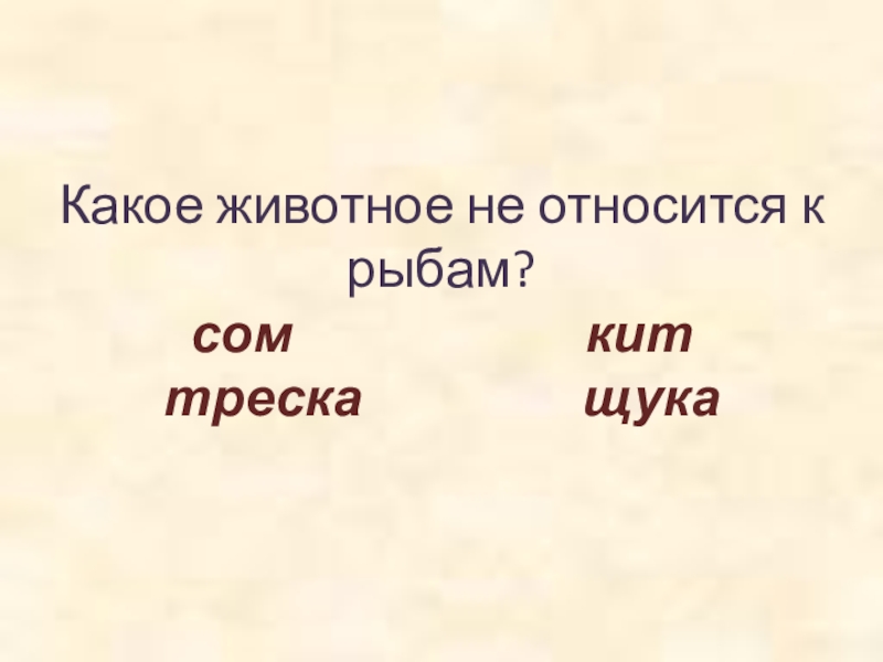 Какое животное не относится к рыбам? сом