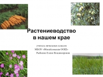 Презентация по окружающему миру на тему Растениеводство в нашем крае