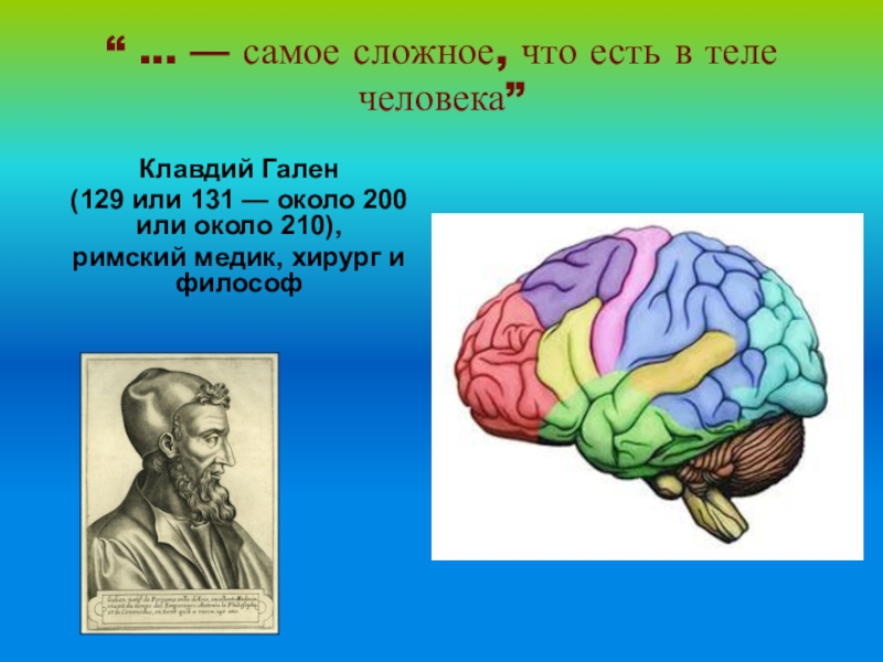 Презентация викторина по биологии 9 класс с ответами