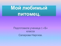 Презентация Мой любимый питомец! 1 класс.