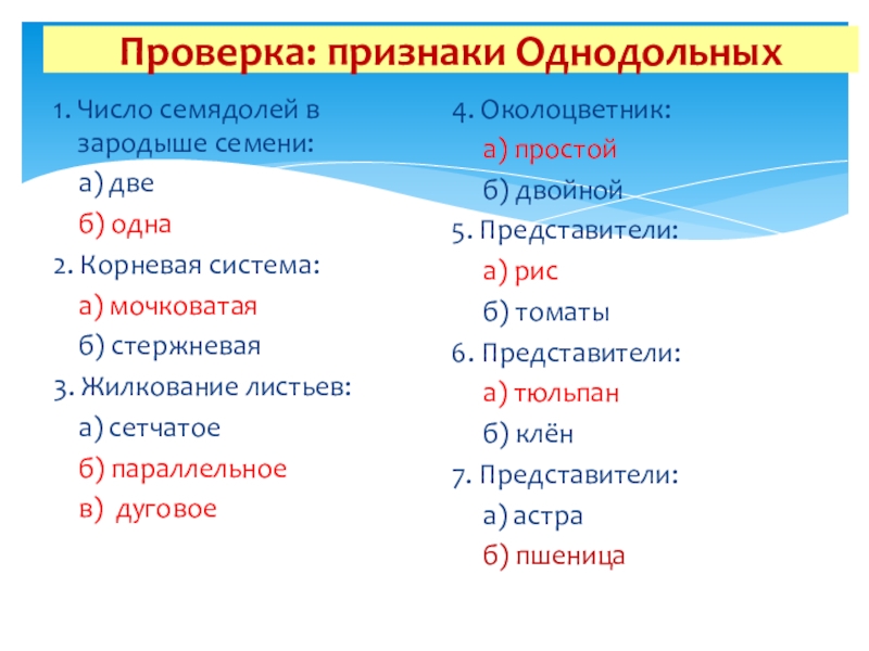 Сколько семядолей в зародыше. Число семядолей в зародыше семени. Количество семядолей в зародыше семени.