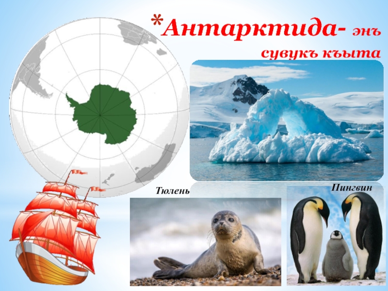 Антарктида- энъ сувукъ къытаТюлень  Пингвин