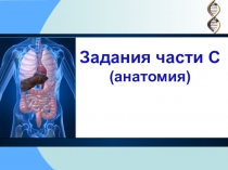Презентация по биологии на тему Задание части С ЕГЭ