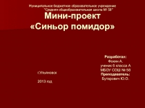 Презентация о помидорах: Синьор помидор.