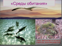 Презентация по биологии на тему Среды обитания