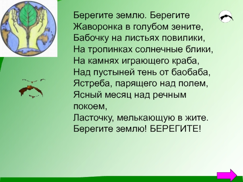 Берегите землю. Берегите землю берегите жаворонка. Берегите землю, жаворонка в голубом Зените. Берегите жаворонка в голубом Зените бабочку. Берегите землю берегите жаворонка в голубом Зените стих.