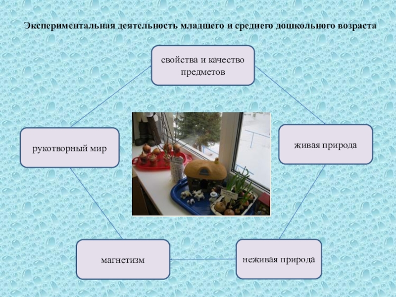 Живая природа экспериментирование. Модуль экспериментирование с живой и неживой природой. Экспериментирование с живой и неживой природой в детском саду. Стем экспериментирование с живой и неживой природой. Зыкова экспериментирование с живой и неживой природой.