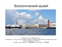 Презентация Цикл занятий в Зоологическом музее СПб