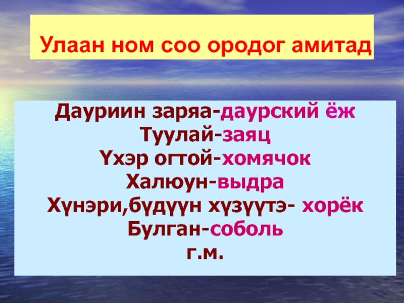 Улаан ном соо ородог амитадДауриин заряа-даурский ёжТуулай-заяцYхэр огтой-хомячокХалюун-выдраХүнэри,бүдүүн хүзүүтэ- хорёк Булган-собольг.м.