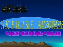 Классный час (презентация) Любимые животные череповчан