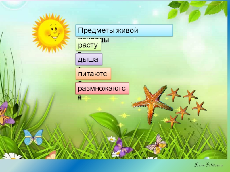 Открытие природы. Загадки о живой и неживой природе. Объекты живой природы солнце. Загадки об объекте живой и неживой природы. Предмет живой природы солнце.