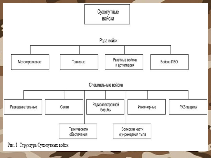 Состав сухопутных войск в виде схемы