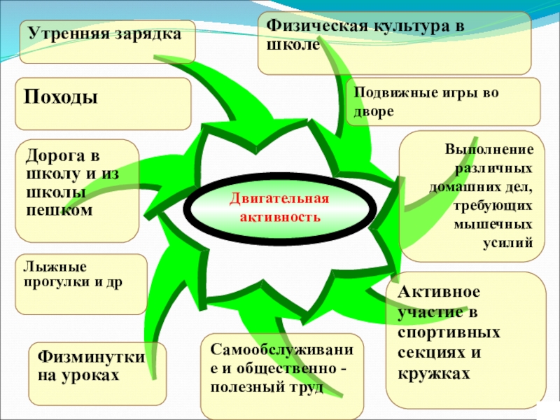 Двигательная активность презентация