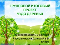 Презентация по биологии Чудо-деревья5-6 класс