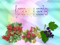 Презентация по окружающему миру Кустарники России