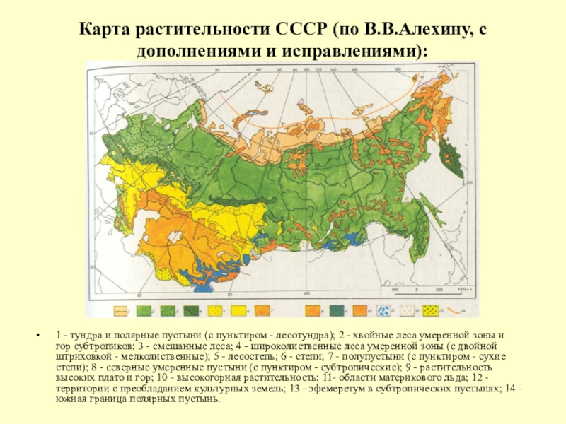 Карта растительных зон