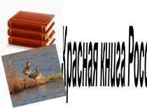 Презентация к занятию  Мои действия по сохранению окружающей среды ( Красная книга) НОД  Социально- коммуникативное развитие