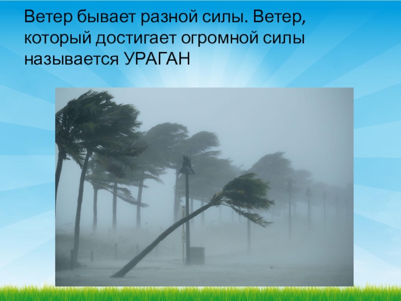 Какие есть ветра. Ветер бывает. Ветер разной силы по картинкам. Ветры бывают разные. Тропический циклон огромной силы.