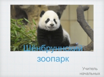 Презентация по окружающему миру 3 класс Шёнбруннский зоопарк