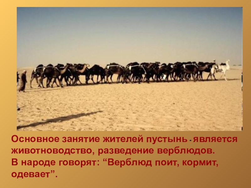 Как человек ведет хозяйство пустыни план сообщения. Занятия жителей пустыни. Занятия населения пустынь. Основные занятия жителей пустынь. Занятия населения в пустыне.