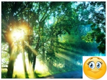 Презентация к интегрированному уроку русского языка и экологии Берегите природу! (5 КЛАСС)