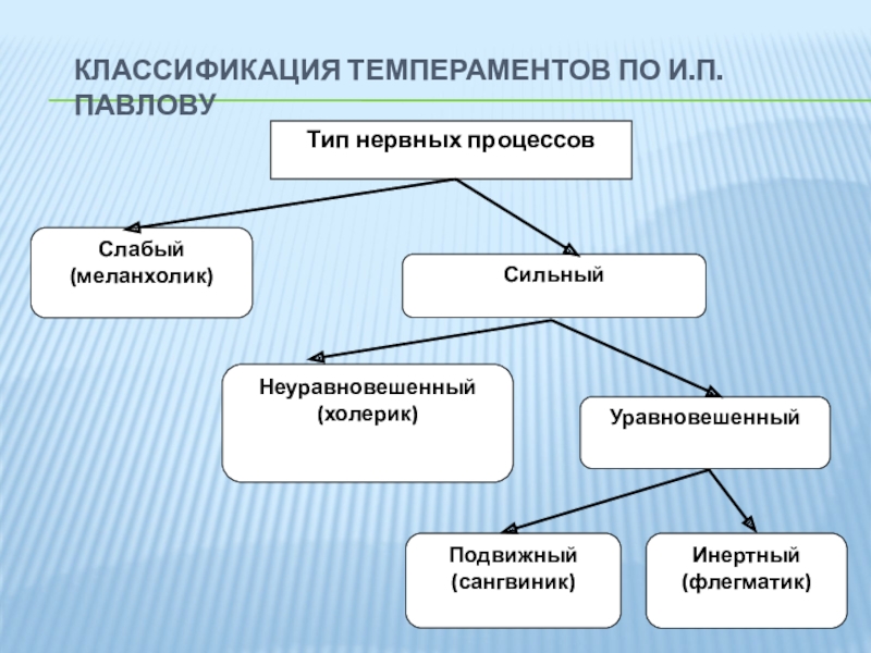 Темперамент презентация 8 класс биология