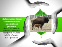 Презентация по экологии, биологии и географии Зубр Европейский. Живой символ моей малой родины.