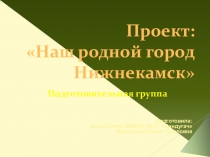 Проект для подготовительной группыМой родной город Нижнекамск