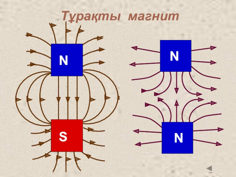 Тұрақты магнит SN