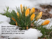 Презентация по биологии на тему  Общая характеристика птиц