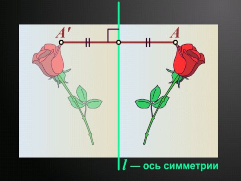 Рисунок осевой симметрии по математике 6 класс