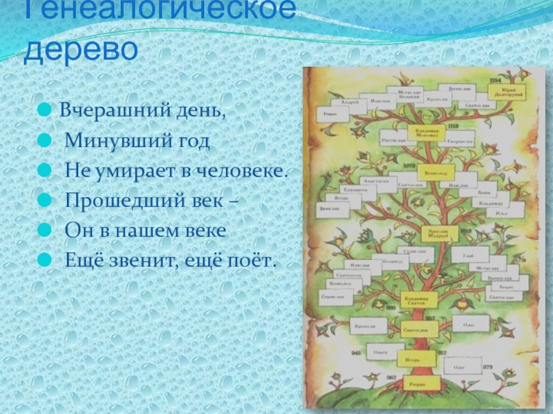 Родословная традиции. Семейное Древо Чайковского. Генеалогическое дерево цитрусовых. Родословная семейные традиции. Родословная 4 класс школьные годы.