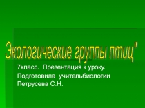 Презентация к уроку Экологические группы птиц (7 класс биология)