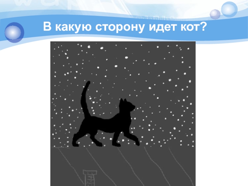 Шел стороной. В какую сторону идет кот. В какую сторону идти. Кот идет в сторону. В какую сторону идёт жерсть котов.