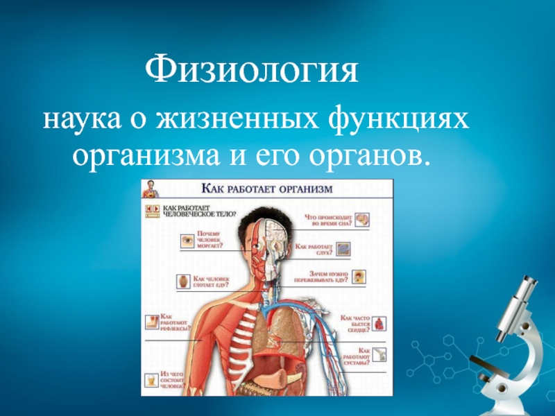 Наука о органах. Физиология. Физиология это наука изучающая. Как работает организм. Функционирование организма человека.