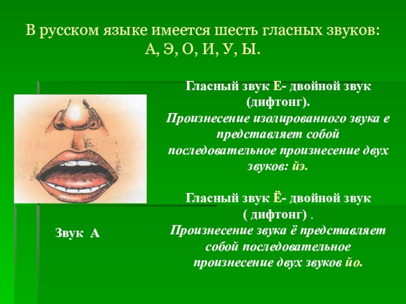 В русском языке 6 гласных. Артикуляция звука с. Артикуляция звука э. Произнесение звука и артикуляция. Звук э произношение.