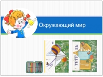 Презентация по окружающему миру Как из зерна получилась булка