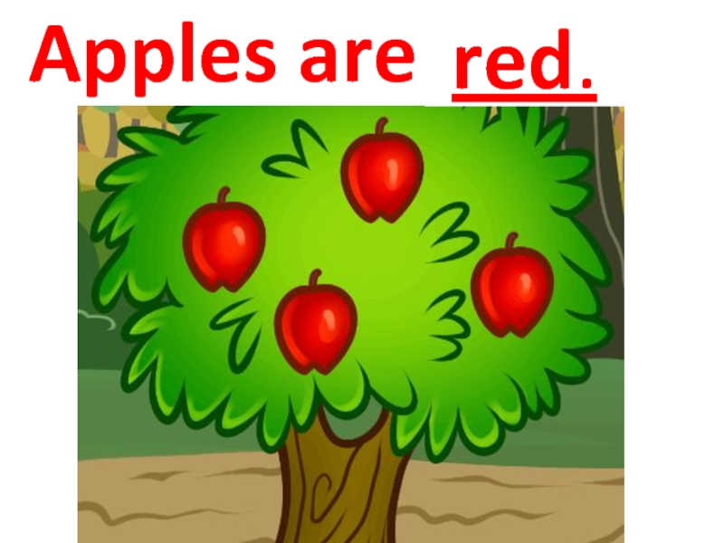 Apples are red.