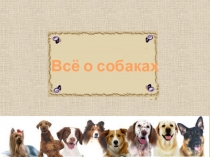 Презентация Всё о собаках