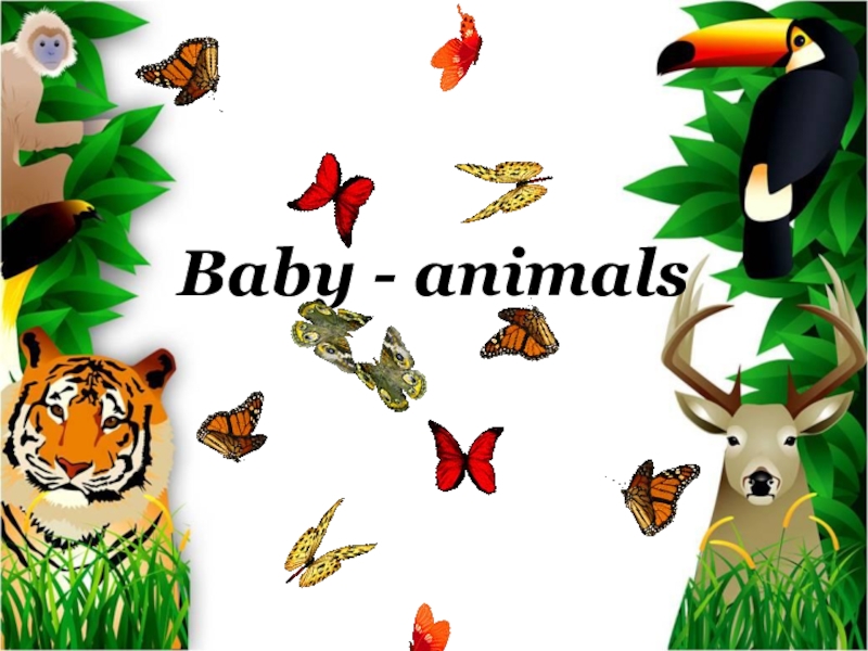 Презентация Презентация по английскому языку на тему Baby animals к учебнику Starlight (2 класс)