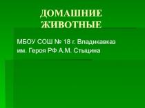 Презентация Про домашних животных