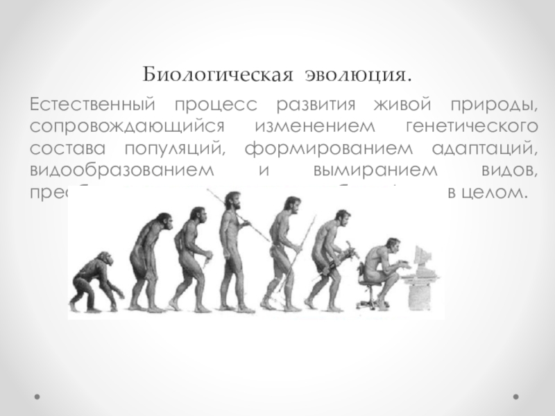 Эволюция биологическая система. Биологическая Эволюция. Эволюция развития процесса. Процесс эволюции природа. Биологическая Эволюция естественный процесс развития живой природы.