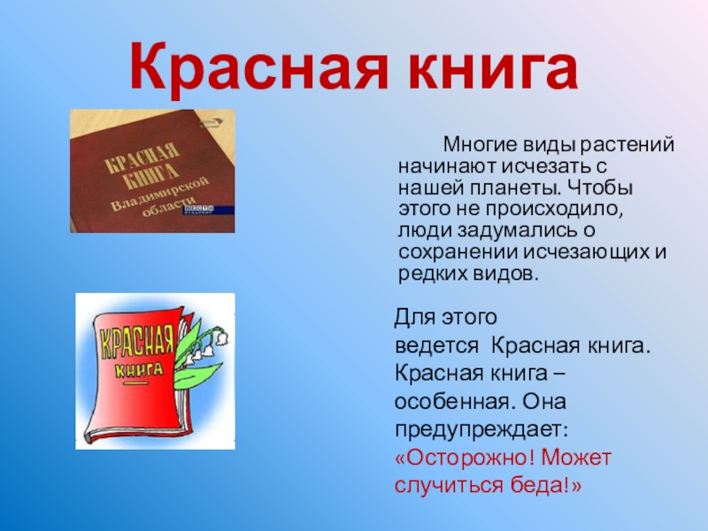 Красная книга		Многие виды растений начинают исчезать с нашей планеты. Чтобы этого не происходило, люди задумались о сохранении