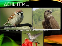 Презентация по основам энтомологии,фитопатологии,биологии лесных зверей и птиц