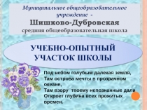 Трудовые объединения обучающихся в условиях модернизации образовательного процесса.