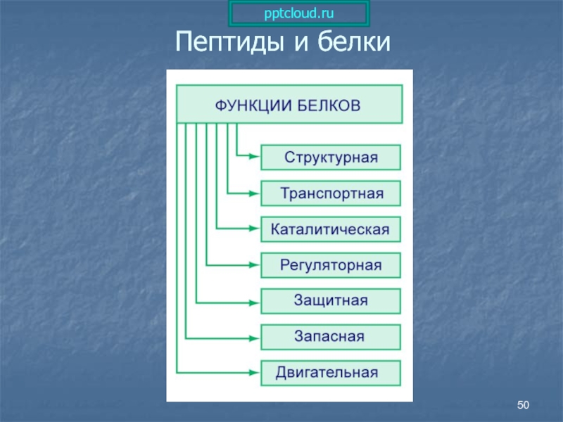 Pptcloud ru презентация