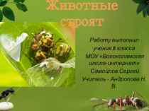 Презентация по теме Животные стоят