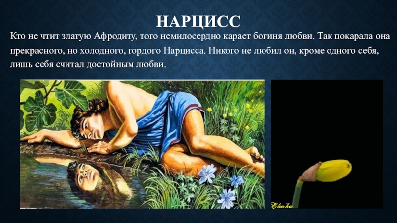 Признаки женщины нарцисса в отношениях с мужчиной. Нарцисс человек. Нарцисс картина миф. Мужчина Нарцисс. Нарцисс (мифология).