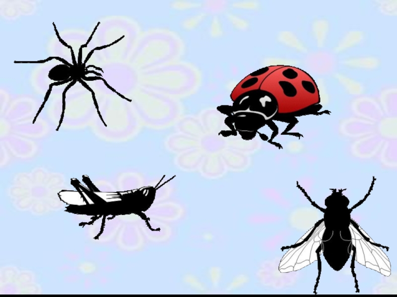 Планирование насекомые подготовительная. Рисование насекомые в подготовительной группе. Опасные насекомые подготовительная группа. Опасные насекомые ОБЖ подготовительная группа. Консультация насекомые в подготовительной группе.