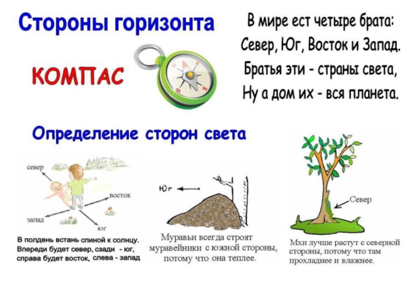 Ориентирование на местности 2 класс окружающий мир презентация школа россии